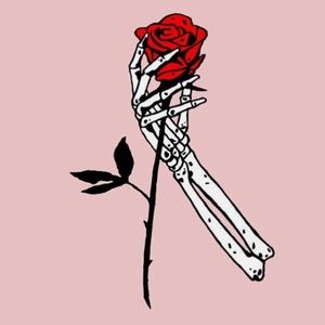 Meet your Posher, Abbie